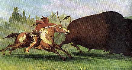 Hunt Buffalo